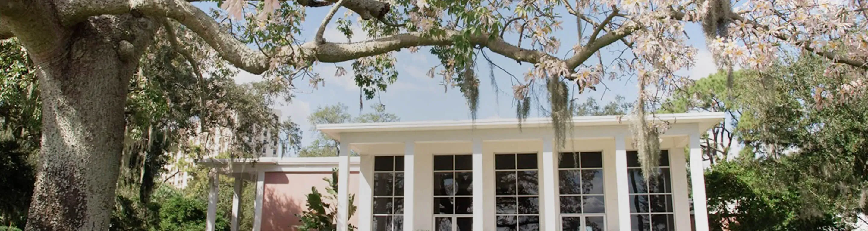 Tampa Garden Club