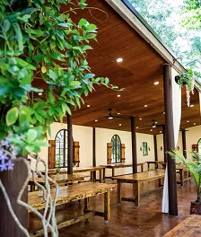 An intimate botanical sanctuary in Tampa Bay — 1
