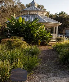 Community charm and natural garden settings — 1