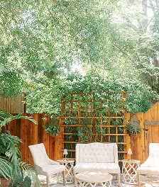 An intimate botanical sanctuary in Tampa Bay — 2