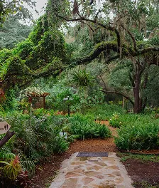 An intimate botanical sanctuary in Tampa Bay — 3