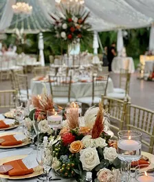 Enchanted woods and secluded tropical luxury — 3