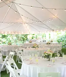 Historic tropical splendor and botanical majesty — 3