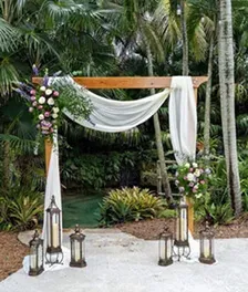 Enchanted woods and secluded tropical luxury — 4