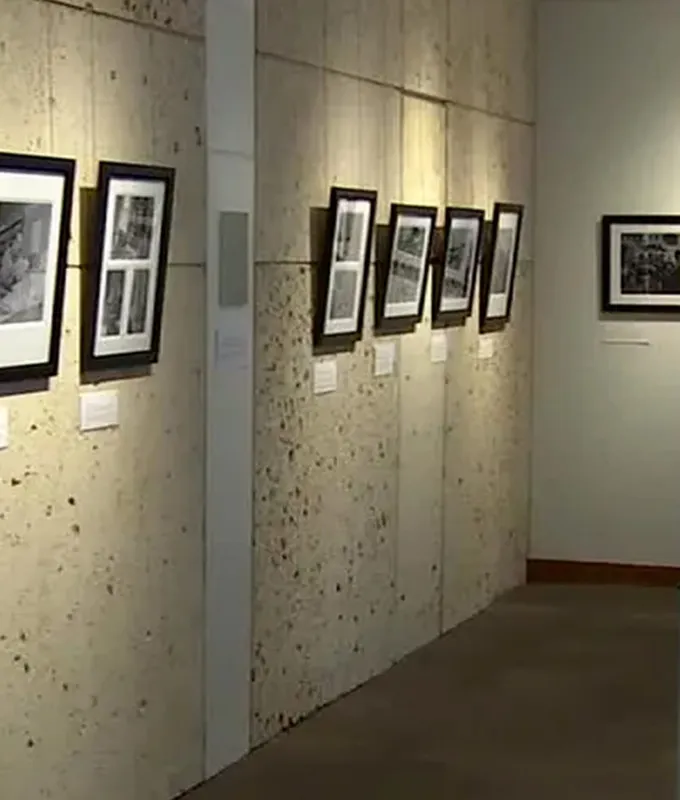 Florida Museum of Photographic Arts gallery 5