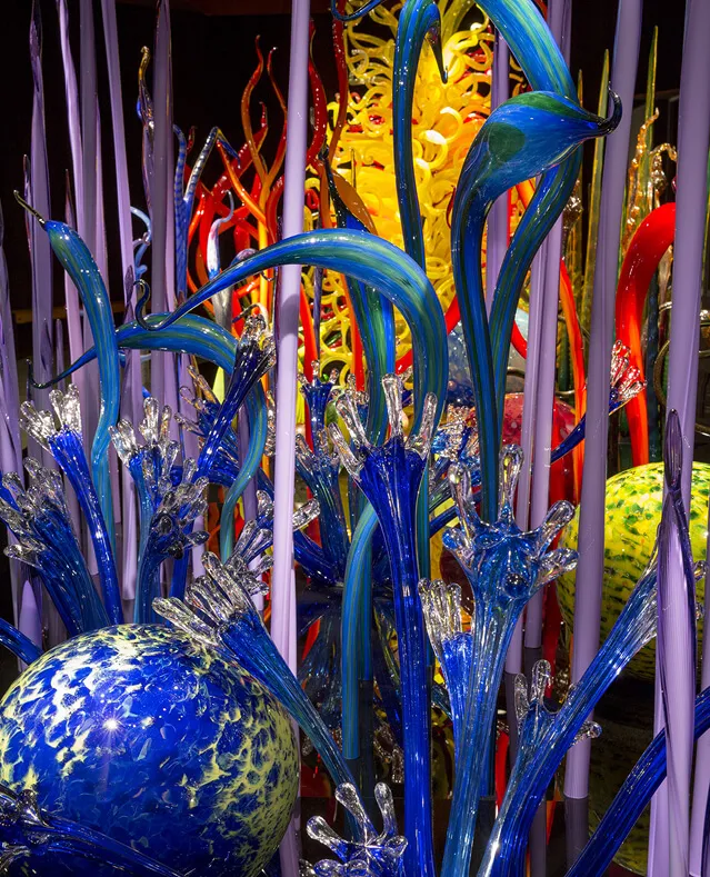 Chihuly Collection gallery 5