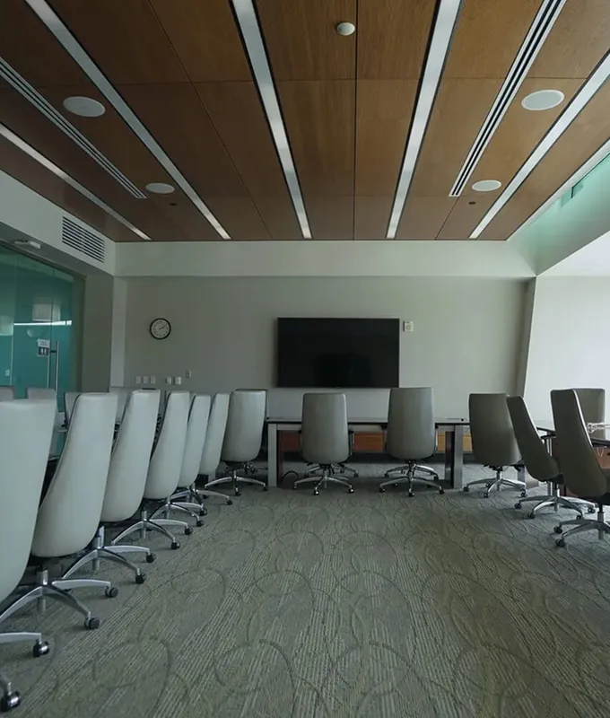USF CAMLS gallery 2