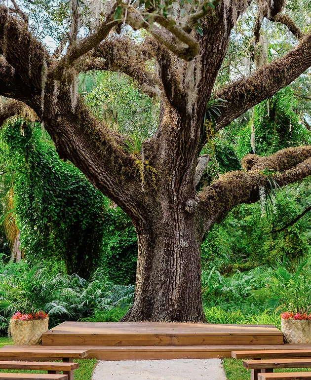 Del Favero Oasis